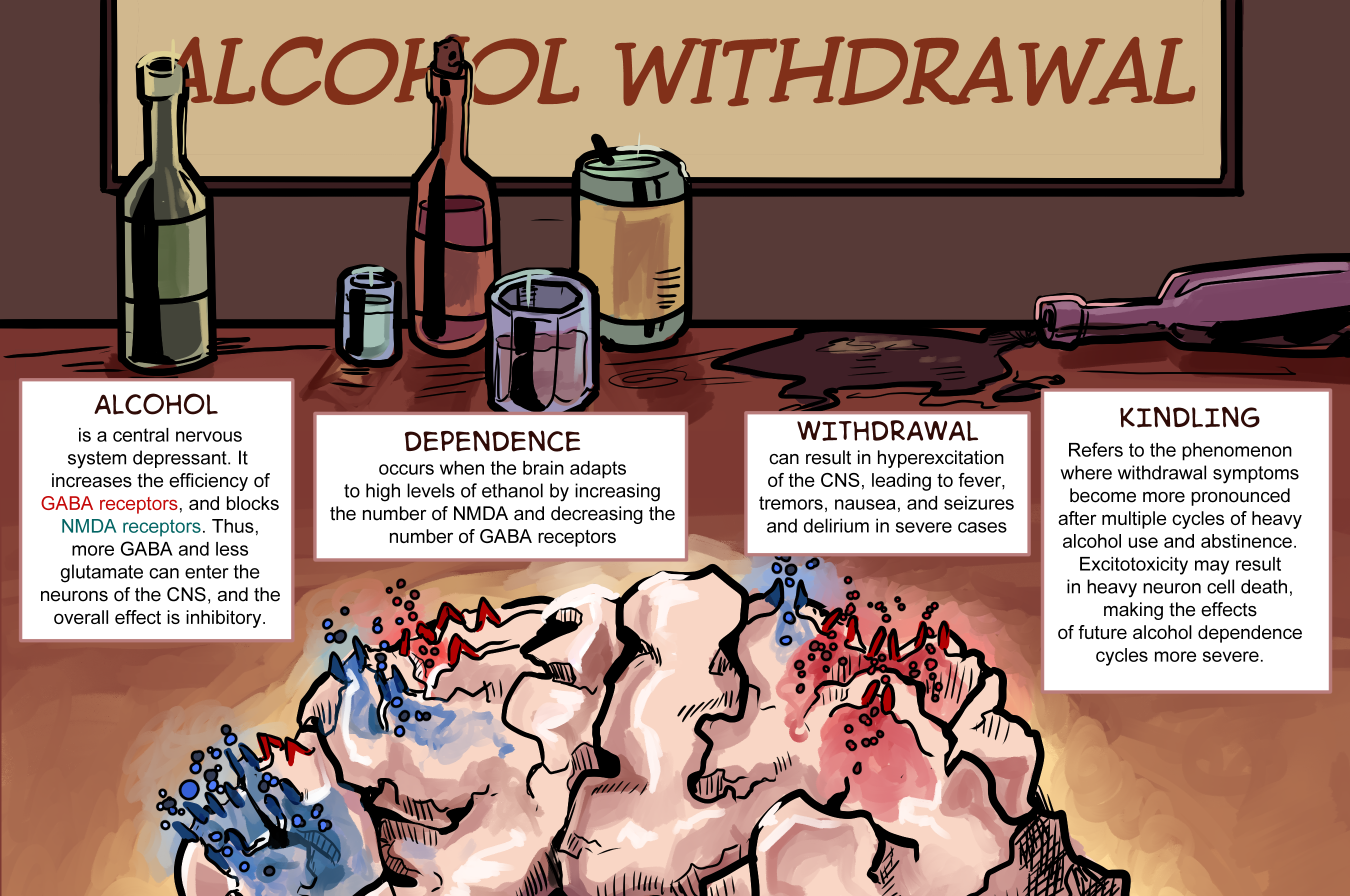 A description of the effects of alcoholism on the brain, intended for a general audience. Clip Studio Paint, 2022.